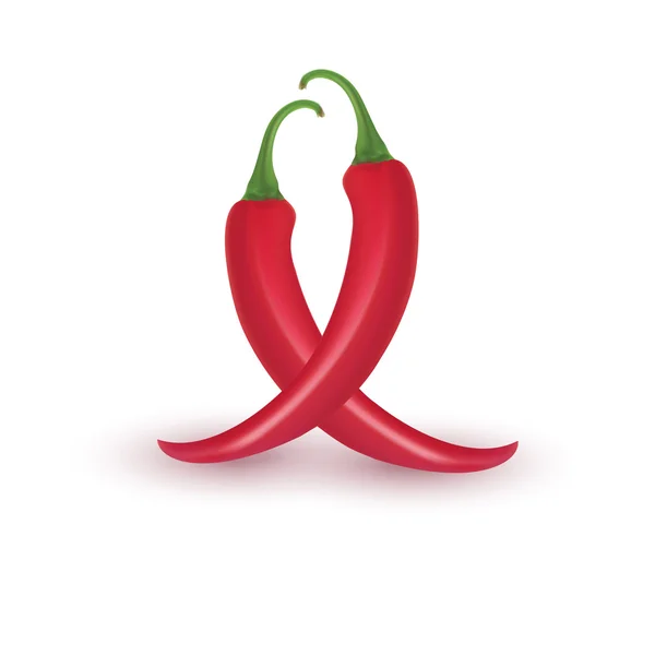 Realistic picture of the Cayenne red pepper — Stock Vector