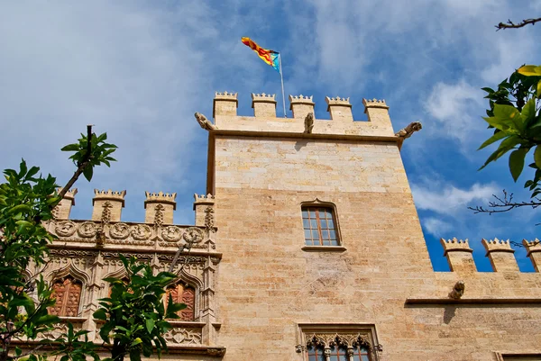 Valencia, Spain, facade of the Cathedral Church. — Stock Photo, Image