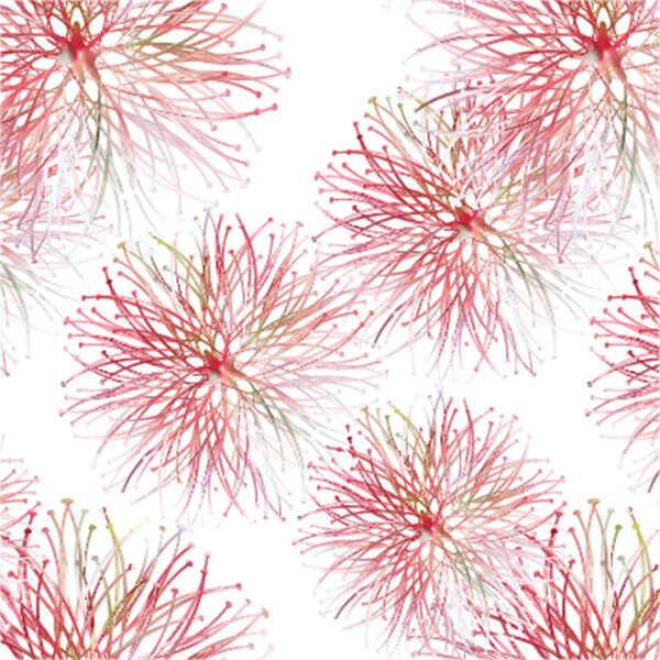 Spring seamless pattern with red mimosa