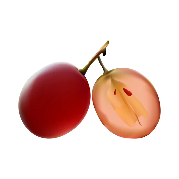 tam ve yarım beyaz zemin üzerine tohumları ile tecavüz