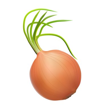 yeşil sürgünler kaynak vitaminleri ile kahverengi soğan