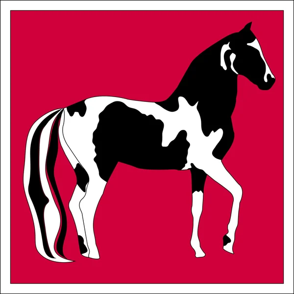 Silhouette bellissimo cavallo arabo — Vettoriale Stock