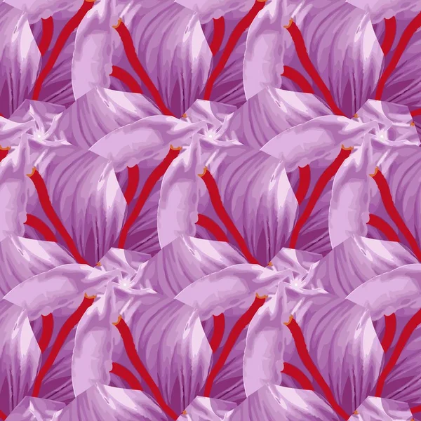 Saffron flower Bud open close-up. Seasoning expensive saffron. pattern saffron — 图库矢量图片