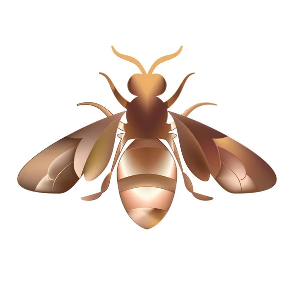Abeja. Malla de ilustración de abeja naranja rayada. Insectos — Vector de stock