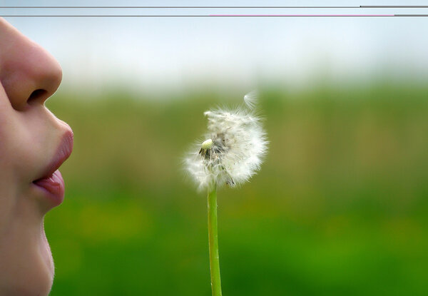 Kiss of flower