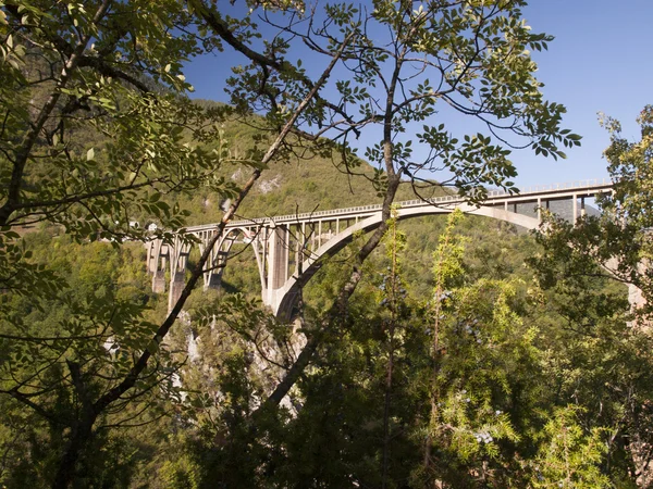 Тара міст на річці тара — стокове фото