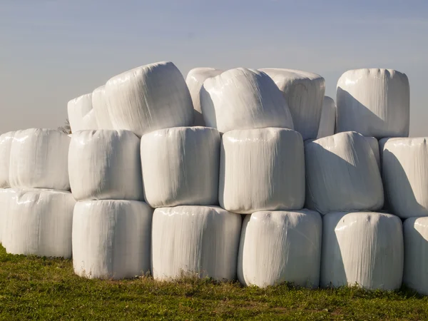Bale of straw in a plastic bag Stock Picture