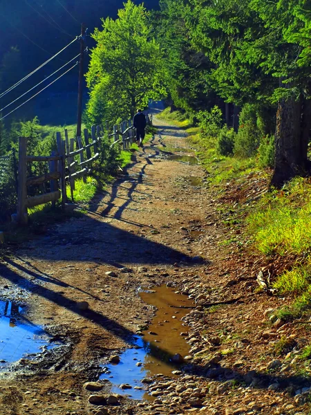 Dağ, kırsal yol — Stok fotoğraf