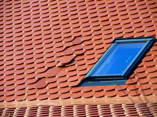 diseño de tarjeta abstracta de la naturaleza