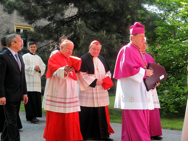 Cardinal Dominik Duka primate of the Czech Republic, Dominican a — Stock Photo, Image