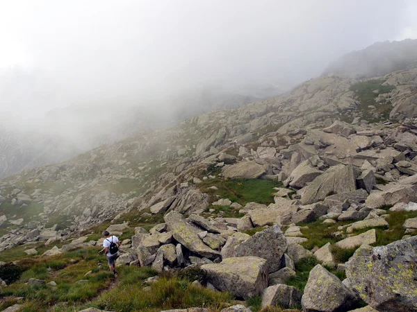 Berglandskap med toppar i låg molnen, brenta dolo — Stockfoto