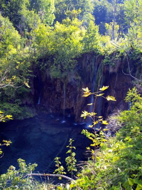 şelale orman içinde. Plitvice Gölleri, Hırvatistan