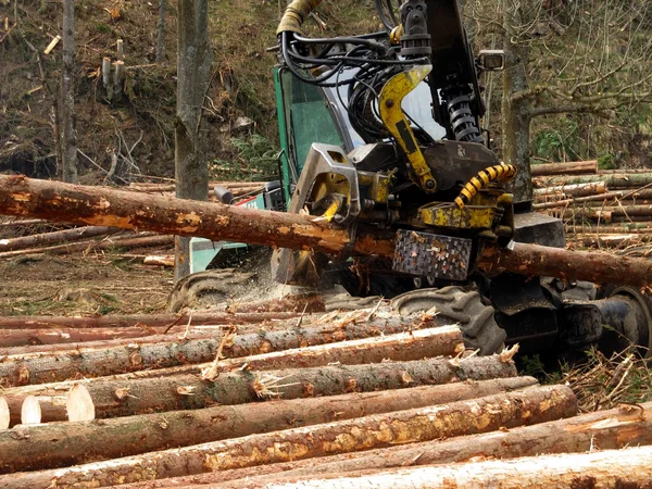 Mekanisk skärning av träd i en skog — Stockfoto