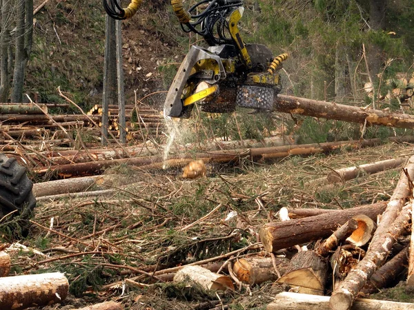 Mechanische snijden van bomen in een forest — Stockfoto