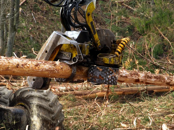 Mechanische snijden van bomen in bos — Stockfoto
