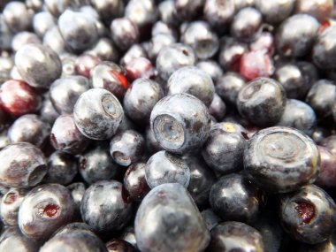 siyah meyveleri kırık yalan kupa