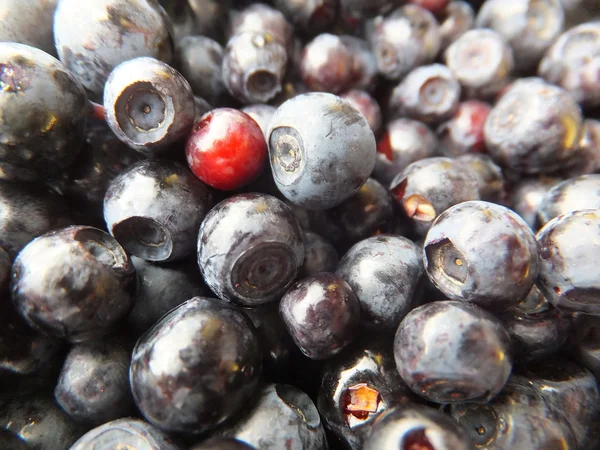 Black berries lying broken on the bowl — Stock Photo, Image