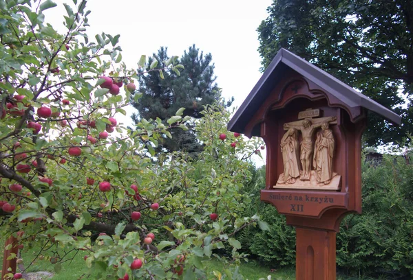 12Th Way Cross Station Garden Next Apple Tree Death Jesus — Stock Photo, Image