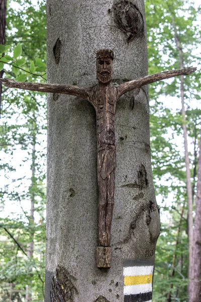 Uma Estátua Madeira Velha Jesus Uma Árvore Uma Trilha Caminhadas — Fotografia de Stock