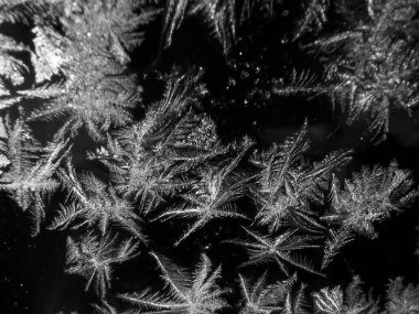 Donmuş bir araba penceresi akşam arabanın içinden arka plan olarak görünüyor.