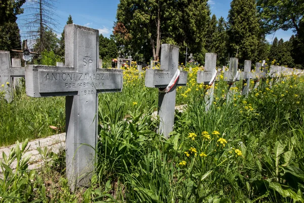 2021年6月13日ポーランド チェルム1919年から1920年までポーランド ソビエト戦争で戦死した兵士の墓 — ストック写真