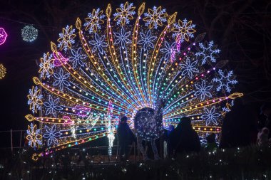 Zabrze, Polonya, 2 Ocak 2022: Zabrze 'deki Milyon Işıklar Parkı' nda çeşitli renkli yanıp sönen ışıklar - ışıklardan oluşan renkli kuyruklu bir tavus kuşu