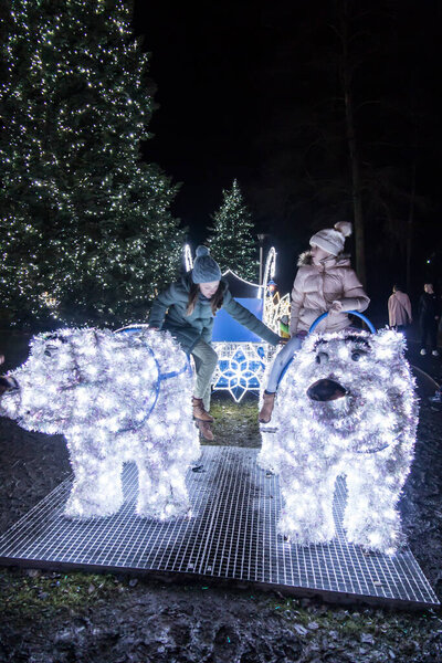 Zabrze, Poland, January 2, 2022: Various stagings of colorful flashing lights in the Million Lights Park in Zabrze - bear sled