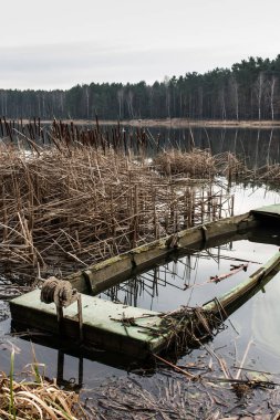 old wooden boat full of water in the reeds on the lake clipart