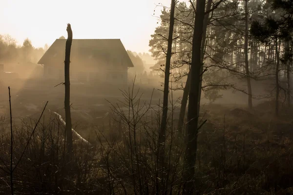 Sonne Und Nebel Wald Beim Dorf — Stockfoto