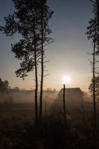 Sun Fog Forest Village — Stock Photo, Image