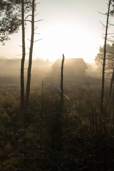 Sonne Und Nebel Wald Beim Dorf — Stockfoto