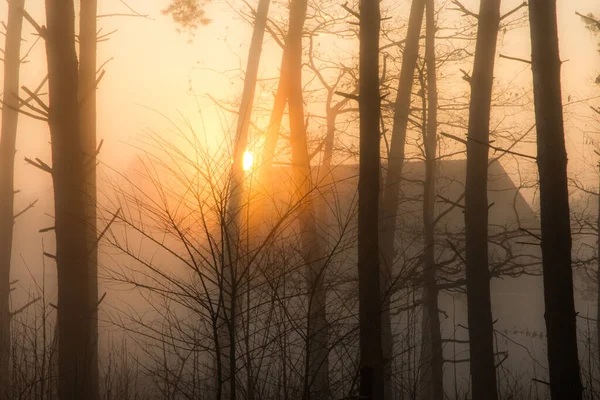 Sonne Und Nebel Wald Beim Dorf — Stockfoto