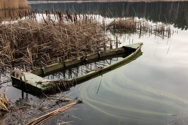 Velho Barco Madeira Cheio Água Nos Juncos Lago — Fotografia de Stock