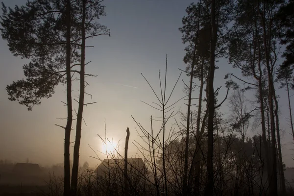 Sol Nevoeiro Floresta Perto Aldeia — Fotografia de Stock