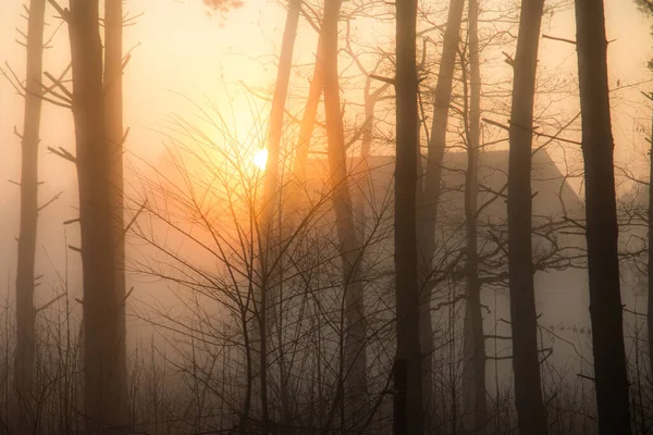 Sonne Und Nebel Wald Beim Dorf — Stockfoto