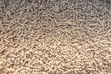 Tahta topaklar ekolojik ısıtma kazanlarında yakıt olarak kullanılır. Arkaplan olarak yakın plan.