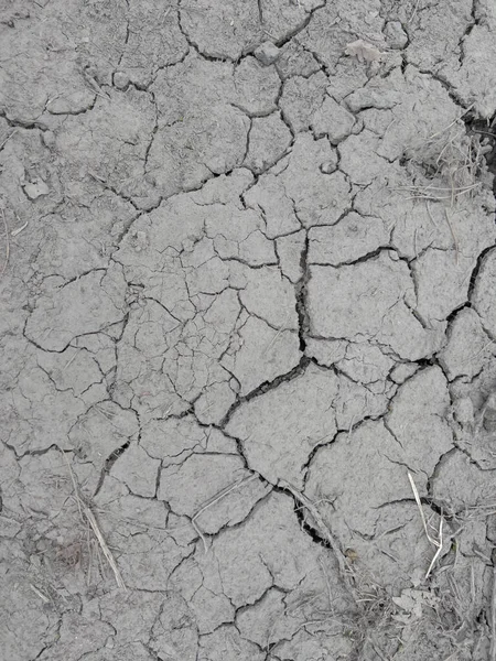 흙으로 뒤덮인 일부가 가뭄으로 깨졌다 — 스톡 사진