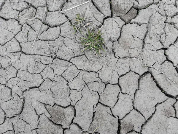 흙으로 뒤덮인 일부가 가뭄으로 깨졌다 — 스톡 사진