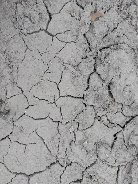 Фрагмент Брудної Поверхні Землі Тріснутий Посухою Фон — стокове фото