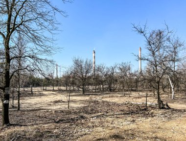 Çevresel kirlilik nedeniyle yüksek ormanlık çinko ve kurşun dökümhaneleri ve ormanlı bölgeler