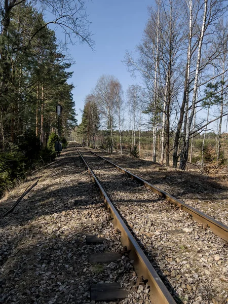 Spoorweg Door Het Bos Met Waarschuwingsindicator Vóór Het Symbool Toegang — Stockfoto