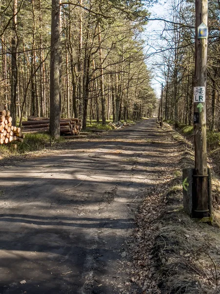 Caminho Bicicleta Florestal Com Uma Superfície Danificada Pela Passagem Veículos — Fotografia de Stock