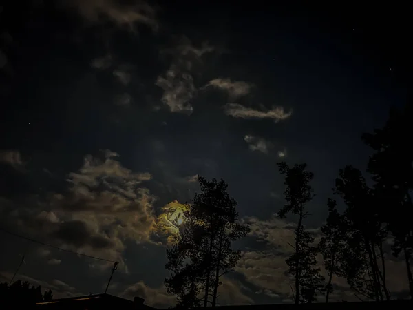 Luna Cielo Sobre Bosque Durante Primera Primavera Llena 2022 — Foto de Stock