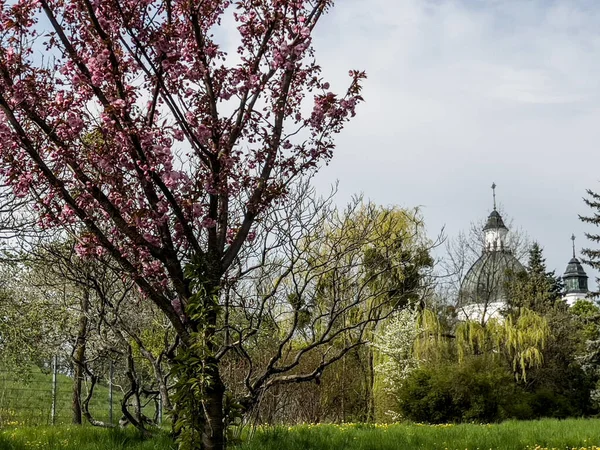 Varşova, Polonya, 24 Nisan 2022: Varşova 'daki Kutsal Ruh Kilisesi ve Pauline Manastırı ve Freta Caddesi, Polonya.