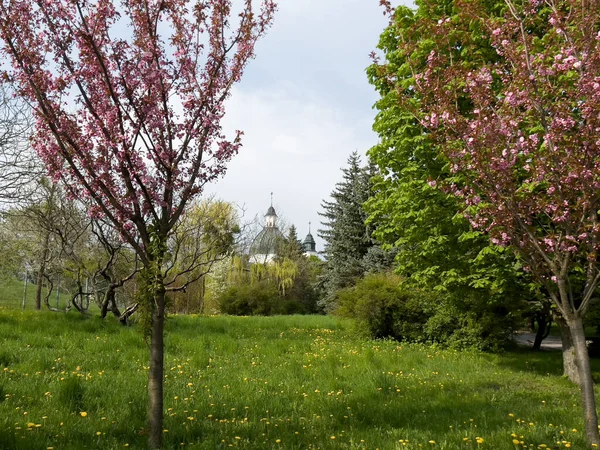 Varşova, Polonya, 24 Nisan 2022: Varşova 'daki Kutsal Ruh Kilisesi ve Pauline Manastırı ve Freta Caddesi, Polonya.