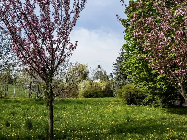 Varşova, Polonya, 24 Nisan 2022: Varşova 'daki Kutsal Ruh Kilisesi ve Pauline Manastırı ve Freta Caddesi, Polonya.