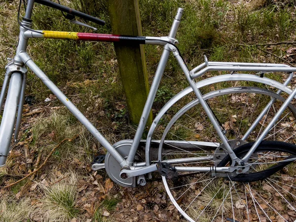 Una Vecchia Bici Incompleta Lasciata Nel Bosco Dalla Pista Ciclabile — Foto Stock
