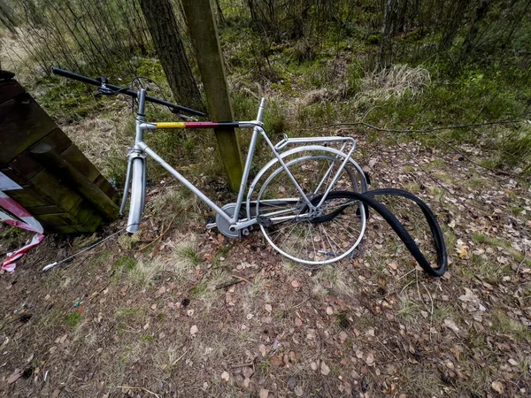 Tamamlanmamış, eski bir bisiklet bisiklet yolu kenarında ormanda kalmış.
