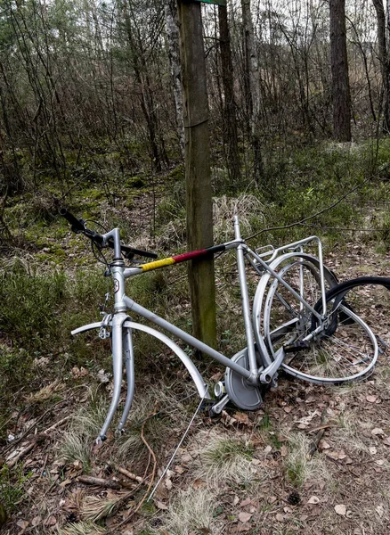 Incomplete Old Bike Left Woods Bike Path — Stock Photo, Image