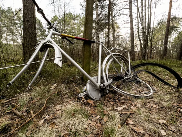 Incomplete Old Bike Left Woods Bike Path — Stock Photo, Image